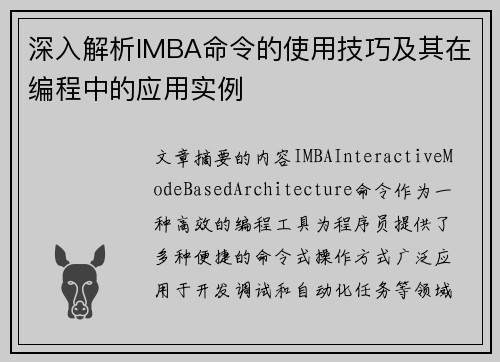 深入解析IMBA命令的使用技巧及其在编程中的应用实例